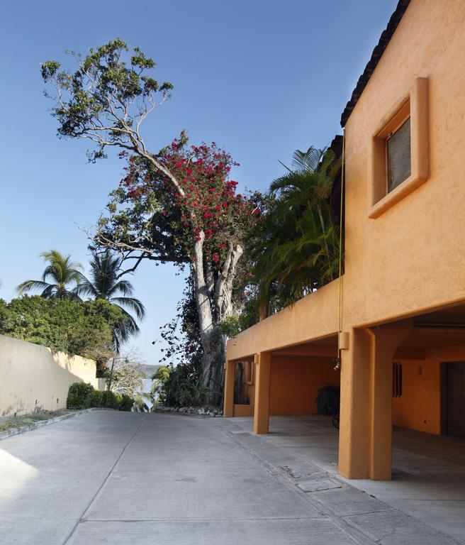 Hotel Casa Don Francisco Ixtapa  Rum bild
